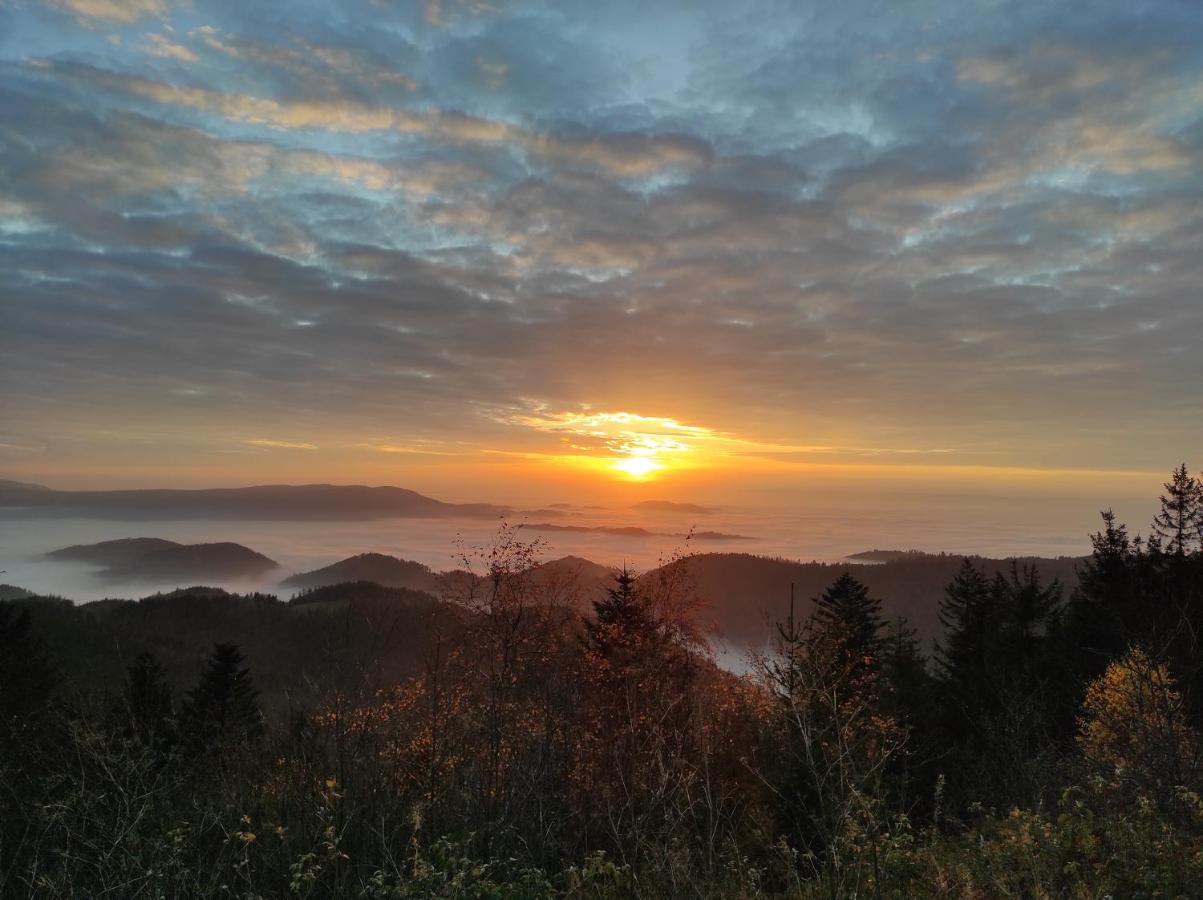 Ferienwohnung Vogelnest Im Schwarzwald 바이에르스브론 외부 사진