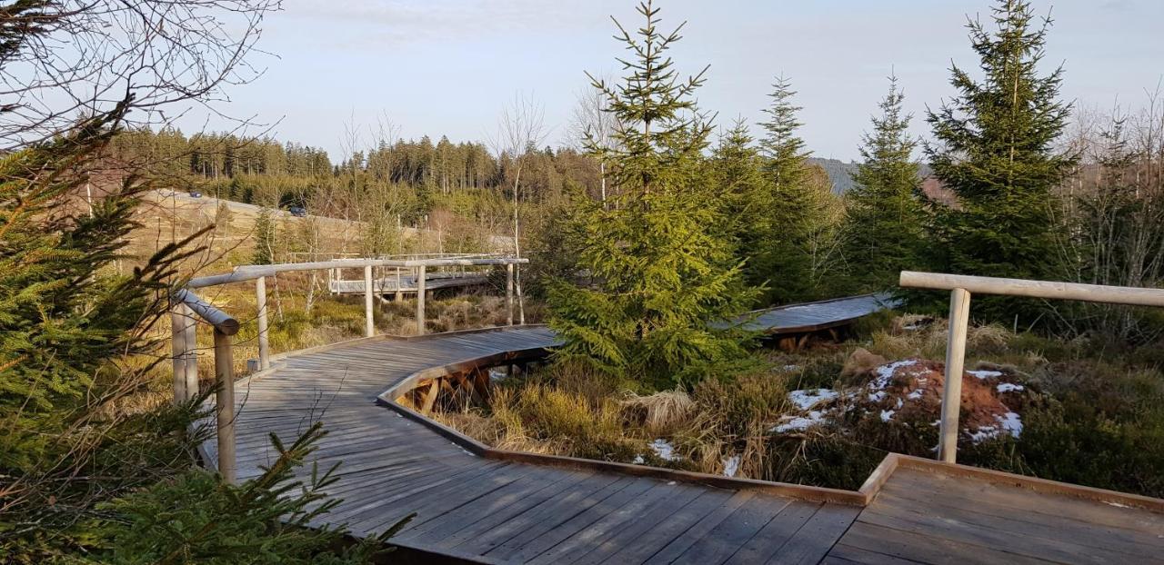 Ferienwohnung Vogelnest Im Schwarzwald 바이에르스브론 외부 사진