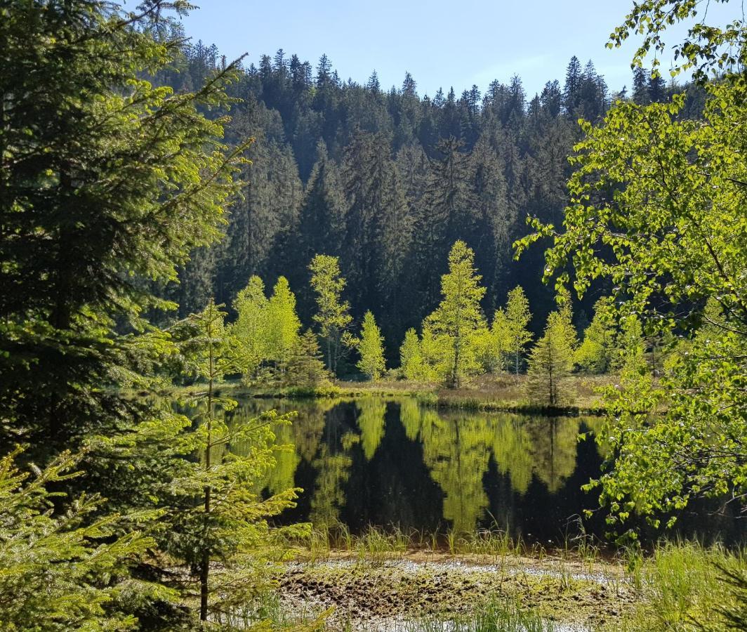 Ferienwohnung Vogelnest Im Schwarzwald 바이에르스브론 외부 사진