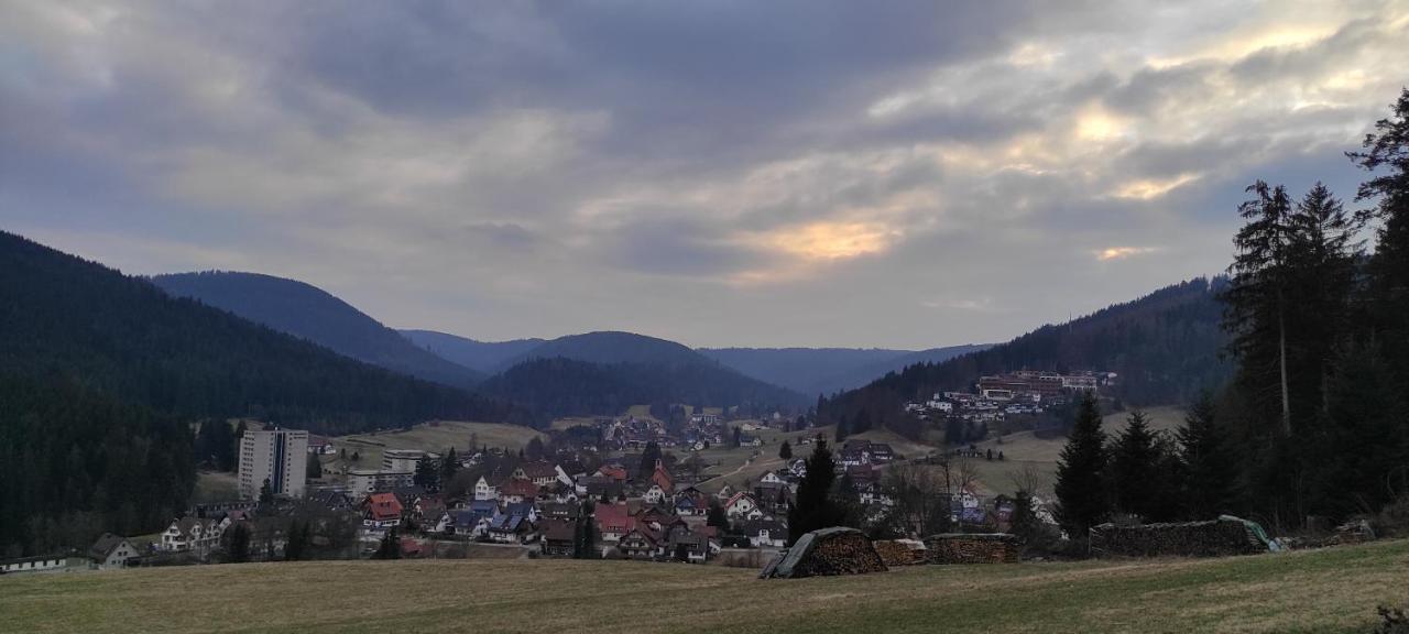 Ferienwohnung Vogelnest Im Schwarzwald 바이에르스브론 외부 사진